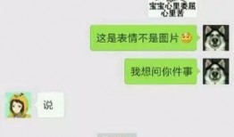 女友挨打聊天爆料视频,真相与反思