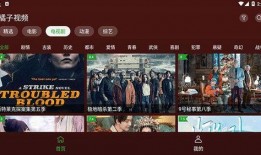 八卦有的爆料视频在哪看,独家视频观看指南