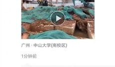 广东学校爆料视频大全集,揭秘校园热点事件