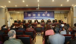 桃江县新闻爆料,揭秘当地热点事件背后的真相