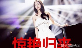 娱乐圈最真实的爆料小说