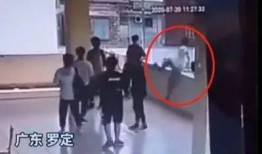 校园爆料大全视频,揭秘校园热点事件背后的真相