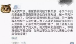 卓伟爆料狗咬人视频播放,狗咬人事件视频引发热议