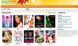 免费电影网站在线观看,揭秘热门电影网站在线观影攻略