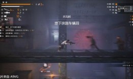 生死轮回爆料视频全集,揭秘神秘视频全集背后的轮回奥秘