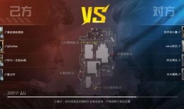 和平精英终极大爆料视频