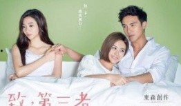 致第三者土豆在线观看,致第三者剧情揭秘