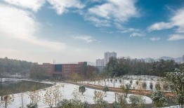 河南信阳学院最新爆料消息,揭秘校园风云事件背后的真相