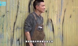 王宝强爆料刘德华视频,背后真相令人震惊