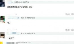陈赫天涯爆料视频播放,揭秘娱乐圈背后真相