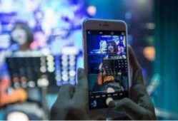 石油网红爆料视频播放,视频播放背后的惊人数据与现象