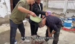 豫东小老弟爆料视频,揭秘背后惊人真相