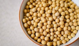 二辰爆料小黄豆视频网,热门内容背后的故事