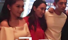 马苏老公爆料视频播放下载,揭秘背后真相