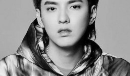 吃瓜鹅明星娱乐,揭秘娱乐圈幕后故事