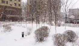 昆明爆料下雪事件最新,市民欢声笑语迎瑞雪