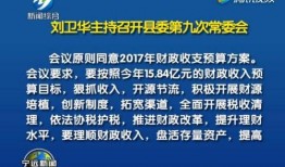 宁远新闻爆料事件,揭开真相背后的疑云