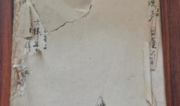 哈尔滨探店爆料视频最新,网红美食地图再升级，独家爆料带你尝鲜！