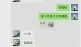 河北女子爆料视频大全集,揭秘生活百态与人性光辉