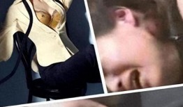 刘嘉玲爆料视频事件真相,揭秘背后真相与真相背后的真相