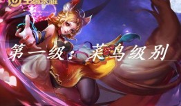 妲己至尊玩家爆料视频,游戏内幕大公开！