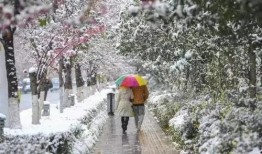 昆明爆料下雪事件最新,市民欢声笑语迎瑞雪