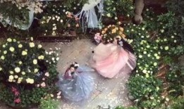 蝶恋花复仇在线观看,在线揭秘爱恨交织的复仇传奇