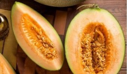 免费哈密瓜可以随便吃吗,尽情享用还是谨慎对待？