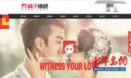 橘子5最新爆料,揭秘娱乐圈最新动态与幕后故事