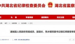 咸宁今日爆料最新消息查询,揭秘今日重大事件幕后真相