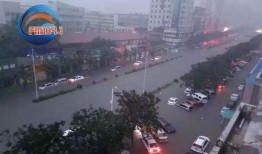 新乡记者爆料事件视频最新,真相揭露，舆论漩涡中的真相追踪