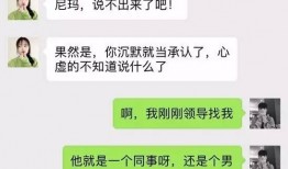 女友挨打聊天爆料视频,真相与反思