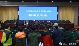 桃江县新闻爆料,揭秘当地热点事件背后的真相