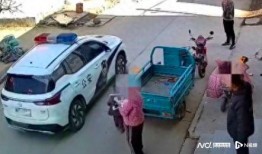 山东临沂警车爆料案件最新,真相揭开，警方全力追查！