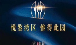 天洲最新爆料新闻,揭秘神秘事件背后真相