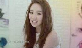 陈芳语爆料事件始末视频,真相揭秘与舆论风波