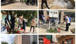 龙湖新溪爆料新闻视频,揭秘神秘项目背后的故事