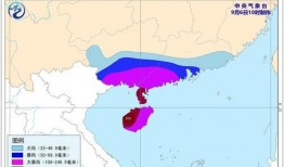 最新爆料台风消息新闻,超强风暴路径预测及影响区域分析”