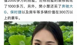 樊小慧爆料视频大全,揭秘背后真相与情感纠葛