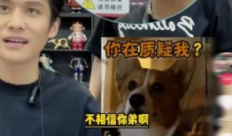 大杨哥爆料喝酒视频,揭秘酒桌上的真实一面