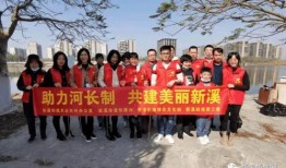 龙湖新溪爆料新闻视频,揭秘神秘项目背后的故事