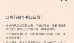 最新散兵爆料图片高清视频,高清图片与视频揭秘神秘角色与技能