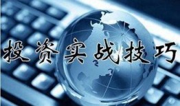 晶核2025年最新爆料新时装,揭秘未来时尚潮流，新时装系列惊艳亮相