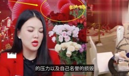 新疆明星爆料视频大全最新,揭秘明星幕后故事与精彩瞬间