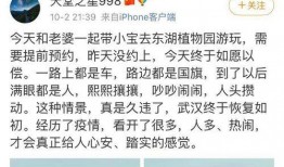 快播在线观看h版,在线观看的惊世之谜