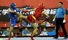 武术散打视频在线观看,在线视频教学解析