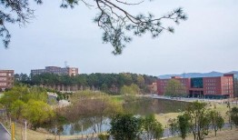 河南信阳学院最新爆料消息,揭秘校园风云事件背后的真相