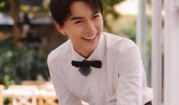 爆料男明星打胎视频大全,揭秘男星打胎视频大全