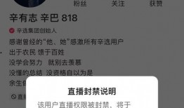 辛巴快手最新爆料新闻,揭秘背后惊人真相