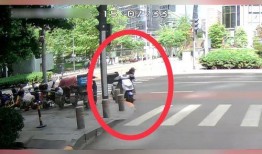 快卖小哥爆料视频大全,揭秘电商幕后那些事儿